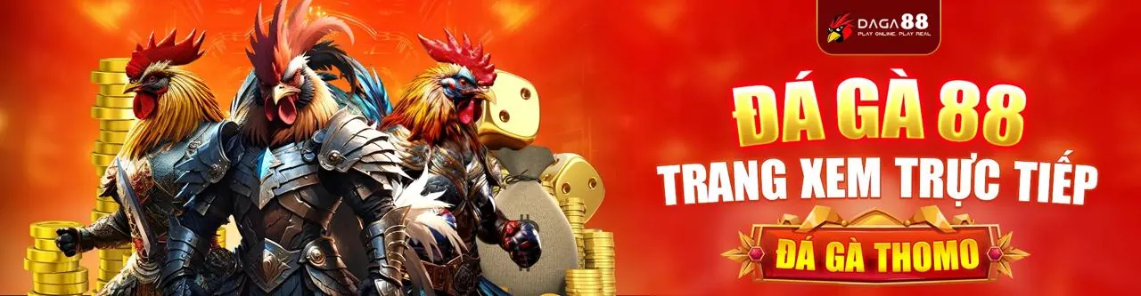 Ứng dụng m8win code trên điện thoại