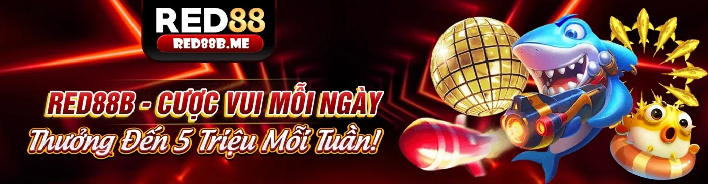 Tin tức m8win code mới nhất